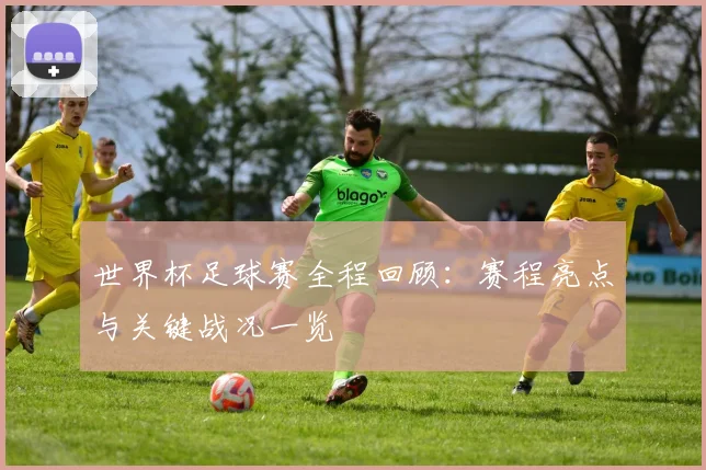 世界杯足球赛全程回顾：赛程亮点与关键战况一览