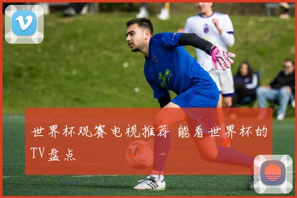世界杯观赛电视推荐 能看世界杯的TV盘点