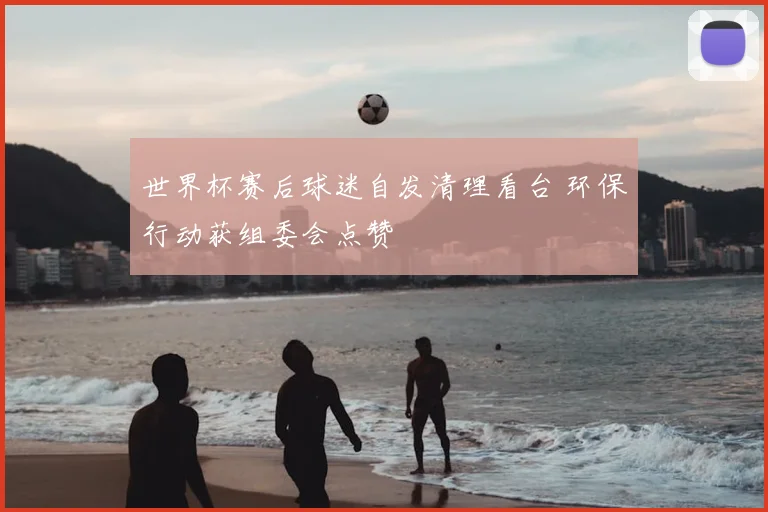 世界杯赛后球迷自发清理看台 环保行动获组委会点赞