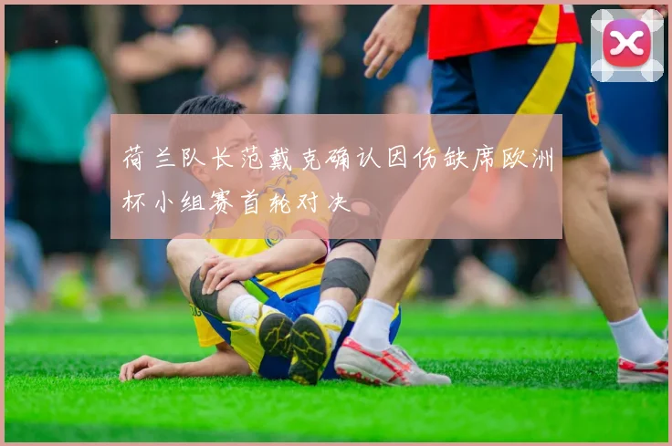 荷兰队长范戴克确认因伤缺席欧洲杯小组赛首轮对决