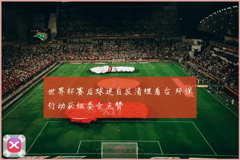 世界杯赛后球迷自发清理看台 环保行动获组委会点赞
